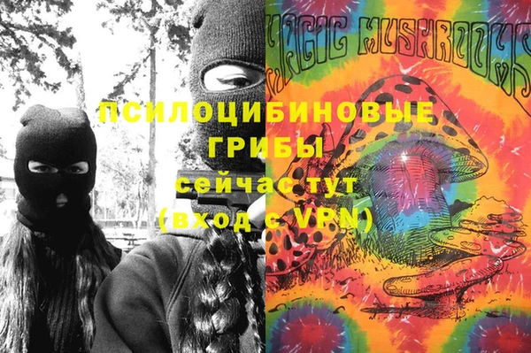 ГАЛЛЮЦИНОГЕННЫЕ ГРИБЫ Надым