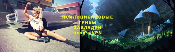 бошки Ладушкин