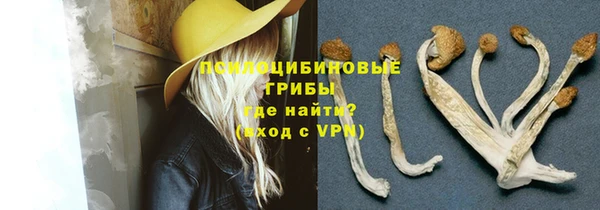 экстази Лагань