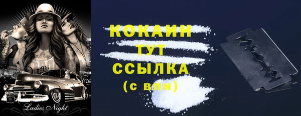 бошки Ладушкин
