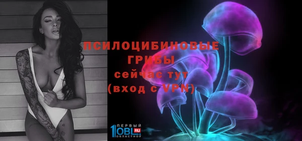 бошки Ладушкин