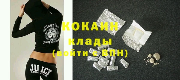 бошки Ладушкин
