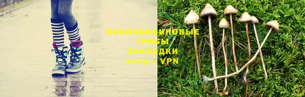 экстази Лагань